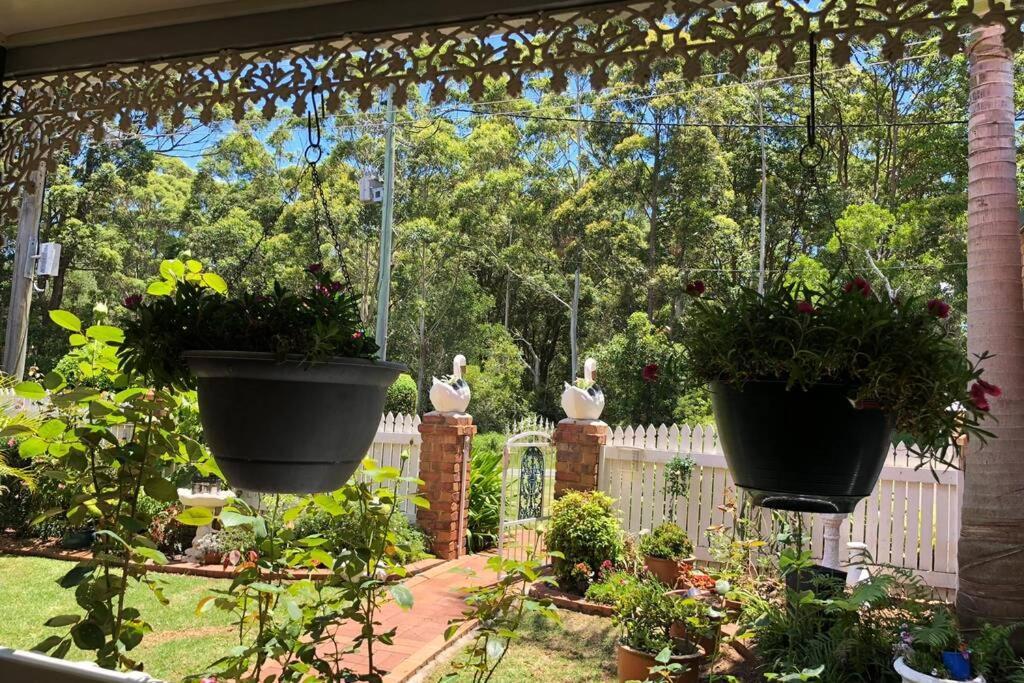 Villa Mountain Living With Ocean Views Mount Tamborine Exterior foto